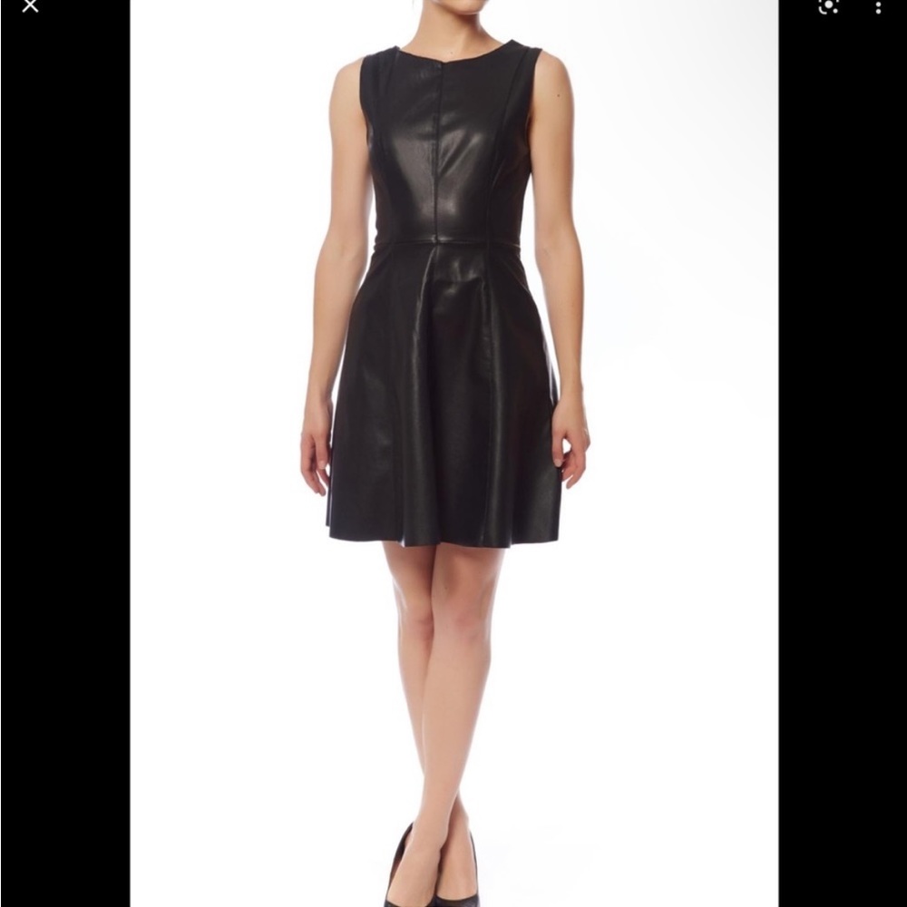 BB Dakota Vegan Leather Skater Dress (6)